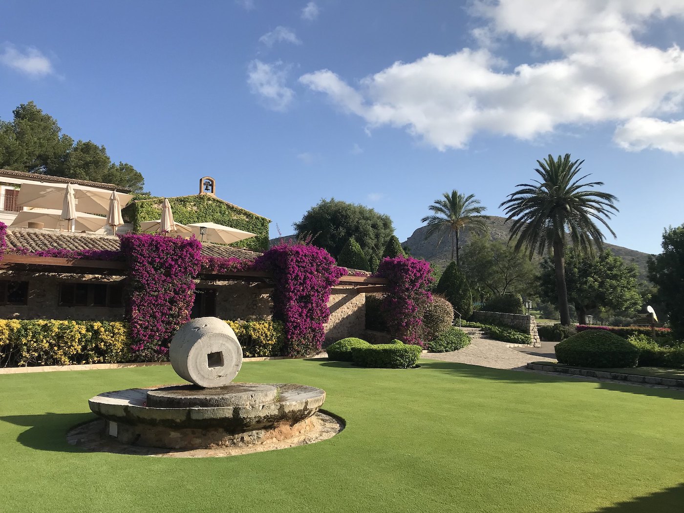 52186059379_fe6b5e043d_k