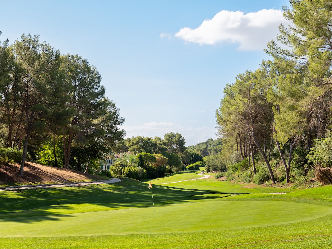 SON VIDA_Antoni Perello Valls-11