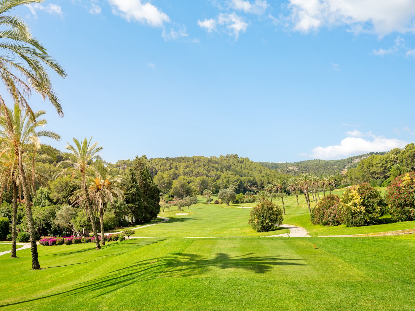 SON VIDA_Antoni Perello Valls-13